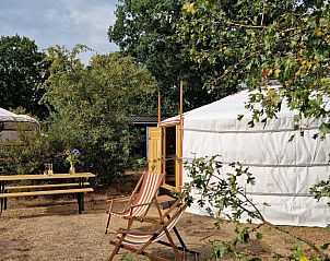 Verblijf 540869 - Tenthuis Vechtstreek - Mongoolse Yurt