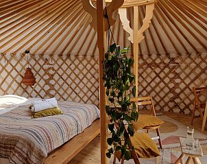 Verblijf 540869 - Tenthuis Vechtstreek - Mongoolse Yurt