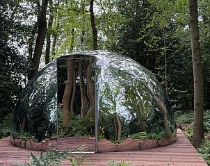 Guest house 540872 • Holiday property Vechtstreek • Huisje in Balkbrug 