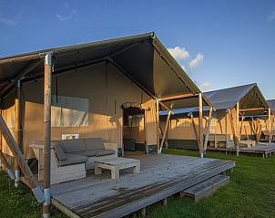 Guest house 541110 • Tent house Vechtstreek • Comfort safaritent 