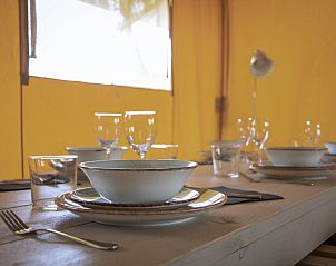 Unterkunft 541110 - Zelthaus Vechtstreek - Comfort safaritent