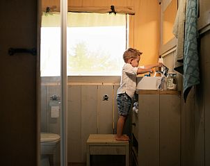 Unterkunft 541110 - Zelthaus Vechtstreek - Comfort safaritent