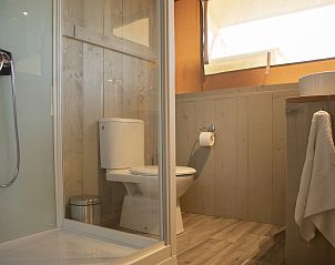 Unterkunft 541110 - Zelthaus Vechtstreek - Comfort safaritent