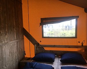 Unterkunft 541112 - Zelthaus Vechtstreek - Safaritent de luxe