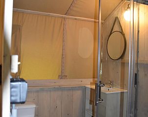 Unterkunft 541124 - Zelthaus Vechtstreek - Comfort safaritent