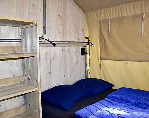 Unterkunft 541124 - Zelthaus Vechtstreek - Comfort safaritent