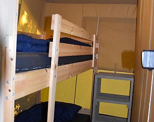 Unterkunft 541124 - Zelthaus Vechtstreek - Comfort safaritent