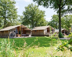 Unterkunft 541125 - Ferienhaus Vechtstreek - Rheezerlodge DeLuxe laag