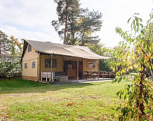 Guest house 541127 - Tent house Vechtstreek - Verandalodge