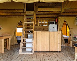 Guest house 541127 - Tent house Vechtstreek - Verandalodge
