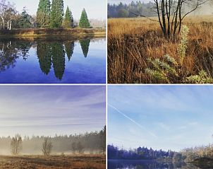 Unterkunft 541220 - Ferienhaus Vechtstreek - Vakantiehuis in Rheezerveen