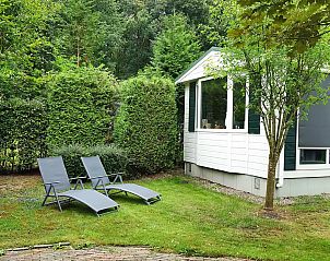 Verblijf 541238 - Chalet Vechtstreek - De Eik, Capfun Stoetenslagh