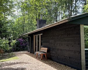Verblijf 541249 - Vakantiewoning Vechtstreek - Wellness Cabin Nykøll | 66
