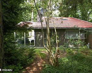 Verblijf 541250 - Bungalow Vechtstreek - Bungalow 'Boslust'