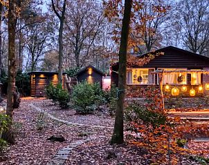 Verblijf 541253 - Bungalow Vechtstreek - Lodge in een bosrijke omgeving