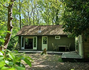 Verblijf 541413 • Vakantiewoning Vechtstreek • 5P vakantiehuis met sauna, midden in de natuur in 