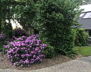 Guest house 541506 - Holiday property Vechtstreek - OV250