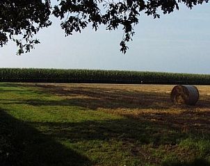 Guest house 541507 - Holiday property Vechtstreek - OV249