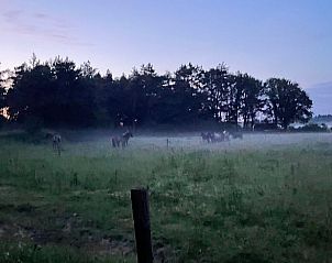 Unterkunft 541703 - Ferienhaus Vechtstreek - Vakantiehuisje in Ommen