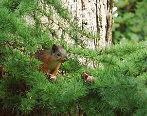 Unterkunft 541808 - Ferienhaus Vechtstreek - OV118