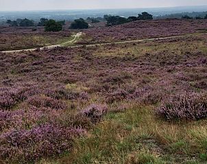 Unterkunft 541809 - Ferienhaus Vechtstreek - Vakantiehuisje in Giethmen