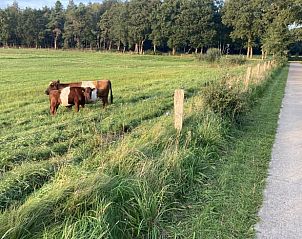 Unterkunft 541809 - Ferienhaus Vechtstreek - Vakantiehuisje in Giethmen
