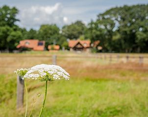 Unterkunft 541811 - Ferienhaus Vechtstreek - Vakantiehuisje in Giethmen