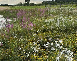 Unterkunft 541811 - Ferienhaus Vechtstreek - Vakantiehuisje in Giethmen