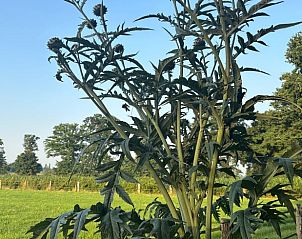 Unterkunft 541811 - Ferienhaus Vechtstreek - Vakantiehuisje in Giethmen