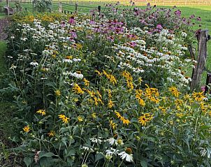 Unterkunft 541811 - Ferienhaus Vechtstreek - Vakantiehuisje in Giethmen