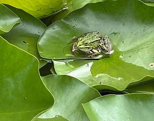 Unterkunft 541811 - Ferienhaus Vechtstreek - Vakantiehuisje in Giethmen