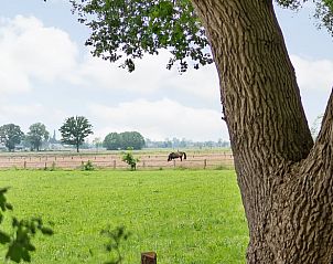 Guest house 541812 • Holiday property Vechtstreek • Huisje in Giethmen 