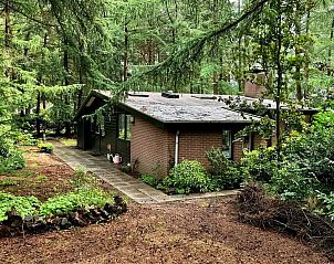 Guest house 541814 - Bungalow Vechtstreek - Boshuisje de Lariks