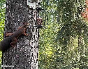 Verblijf 541815 - Bungalow Vechtstreek - Giethmenseveld 't mooiste huisje