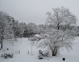 Unterkunft 541816 - Ferienhaus Vechtstreek - Huisje in Giethmen