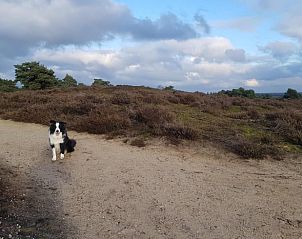 Unterkunft 541816 - Ferienhaus Vechtstreek - Huisje in Giethmen