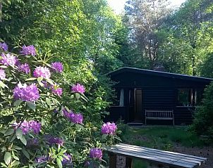 Verblijf 541821 - Bungalow Vechtstreek - Huisje 140