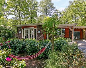 Guest house 542510 • Holiday property Vechtstreek • Vakantiehuis in Bergentheim 