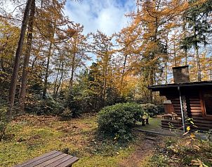 Unterkunft 542512 - Ferienhaus Vechtstreek - Huisje in Bergentheim