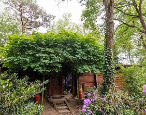 Guest house 542517 - Holiday property Vechtstreek - Vakantiehuis in Bergentheim