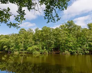 Guest house 542517 - Holiday property Vechtstreek - Vakantiehuis in Bergentheim