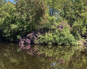 Guest house 542517 - Holiday property Vechtstreek - Vakantiehuis in Bergentheim