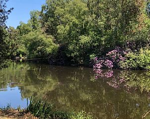 Guest house 542517 - Holiday property Vechtstreek - Vakantiehuis in Bergentheim