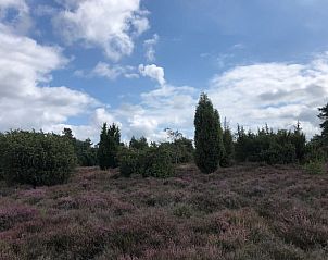 Unterkunft 542612 - Ferienhaus Vechtstreek - Vakantiehuis in Lemele