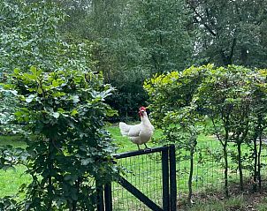 Unterkunft 542614 - Ferienhaus Vechtstreek - Vakantiehuisje in Lemele
