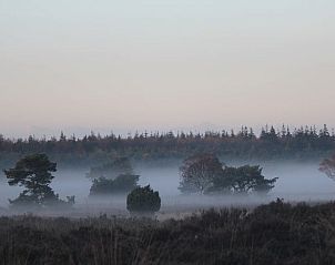 Unterkunft 542615 - Ferienhaus Vechtstreek - Vakantiehuisje in Lemele