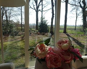 Guest house 542625 - Holiday property Vechtstreek - Vakantiehuisje in Lemele