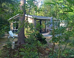 Unterkunft 542626 - Ferienhaus Vechtstreek - Vakantiehuisje in Lemele