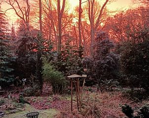 Unterkunft 542626 - Ferienhaus Vechtstreek - Vakantiehuisje in Lemele