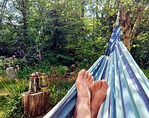 Unterkunft 542626 - Ferienhaus Vechtstreek - Vakantiehuisje in Lemele